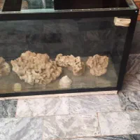 آکواریوم ۳۳۶لیتر