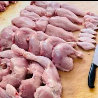 پخش عمده قطعه بندی مرغ گرم بی واسطه