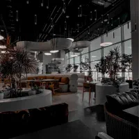 باریستا / ویتر