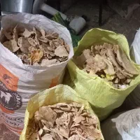 فروش نان خشک