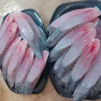 ماهی ومیگو تازه بوشهر