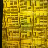 جعبه ۲۰کیلویی تازه