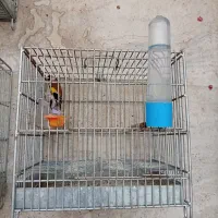 فروش قفس سهره وطوطی