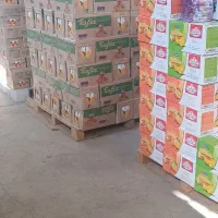 ویزیتور مواد غذایی