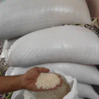 برنج دم سیاه