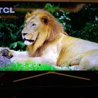 تلویزیون ۵۵ سامسونگ|تلویزیون و پروژکتور|نیشابور, دارایی|دیوار