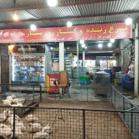 فروش مرغ زنده و کشتار روز با سبد کالا