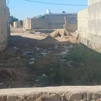 کوی-مندلی-خ7کروشات