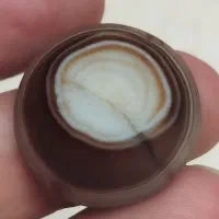 مهره جواهرات سه پوست