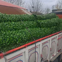 فروش ویژه چمن،فنس