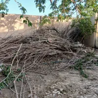 مقداری چوب فروشی