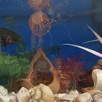 آکواریوم شیشه خم شرکتی با تمام وسایلش|ماهی|رباط‌کریم, مسکن مهر آبشناسان|دیوار