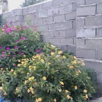 اجاره خانه با تمام امکانات