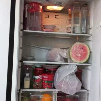 یخچال سفید رنگ به نام سیلوان