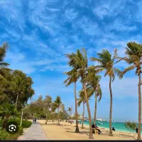 همسفر برای کیش|فعالیت داوطلبانه|فولادشهر, مسکن مهر فولادشهر|دیوار