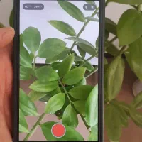 اپل 12 پرومکس|موبایل|اهواز, فاز ۲ پادادشهر|دیوار