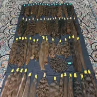 مرکز خرید مو دلاری در استان|آرایشی، بهداشتی، درمانی|بیرجند, |دیوار