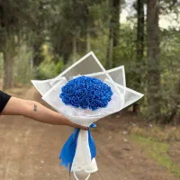 گل ربانی|گل مصنوعی|گرگان, |دیوار