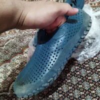 کفش شنی
