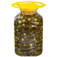 ترشی فلفل(مخصوص دورچین هاتون )|عمدهفروشی|رشت, شهرک صنعتی|دیوار