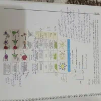 کتاب|کتاب و مجله آموزشی|کلاردشت, |دیوار