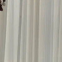 تور شاین دار