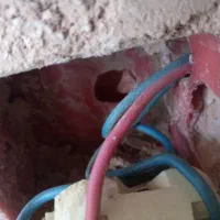 خریدارمس