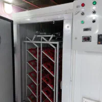 پکیج کامل جوجه کشی شترمرغ|لوازم جانبی حیوانات|کاشان, نوش آباد|دیوار