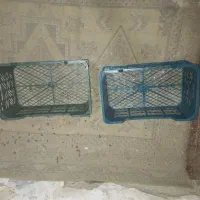 جعبه گوجه ای ۱۸ کیلویی|ظروف نگهدارنده، پلاستیکی، یکبارمصرف|نوکنده, |دیوار