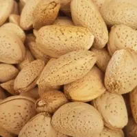 بادام درختی پرمغز  شیرین بدون تلخی و پوچی