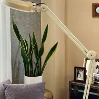 دستگاه لوپ با امکان بزرگنمایی مناسب سالن فیشیال|آرایشی، بهداشتی، درمانی|رشت, بلوار گیلان|دیوار