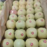 سیب درجه یک پول نقد|خوردنی و آشامیدنی|اهر, |دیوار