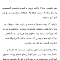 گیاه لیف|لوازم حمام|جویبار, |دیوار