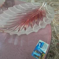 میوه خوری چک