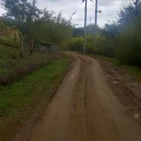 ۵۰۰متر زمین مسکونی/پلاک اول جنگل|فروش زمین و ملک کلنگی|رضوانشهر, |دیوار