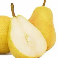 پیش فروش نهال گلابی بیروتی با شرایط چک|خدمات باغبانی و درختکاری|شهمیرزاد, |دیوار