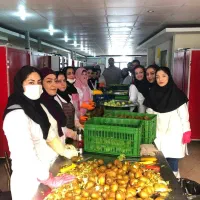 اجاره کارخانه تولید چیس میوه وسبزی و فرنچ فرایزر