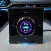 اسپیکر سقفی چینی آمپلی فایر دیواری سقفی