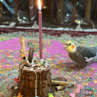 عروس هلندی