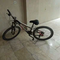 ویوا اصل