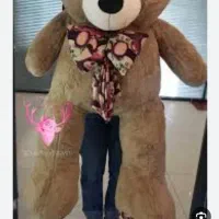 خرس شاسخین دومتری و خرسی متوسط