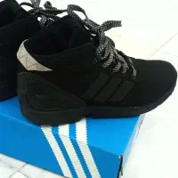 فلوکس مشکی ساقدار کمیاب