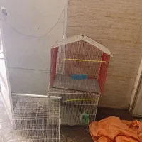 قفس پرنده سالم