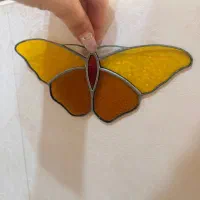 پروانه کلکسیونی