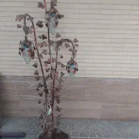آباژور ایستاده