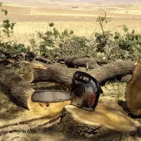 خرید چوب