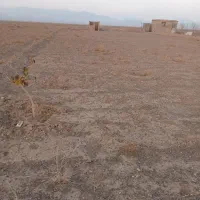 زمین باغی|فروش زمین و ملک کلنگی|سبزوار, قصبه غربی|دیوار