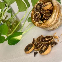 ادویه و خشکبار کاشانه|خوردنی و آشامیدنی|کاشان, پاقپان|دیوار