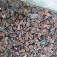 کشمش تاکستان|خوردنی و آشامیدنی|تاکستان, |دیوار