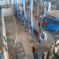 شیردوش خطی ۶ واحده ۳ فاز